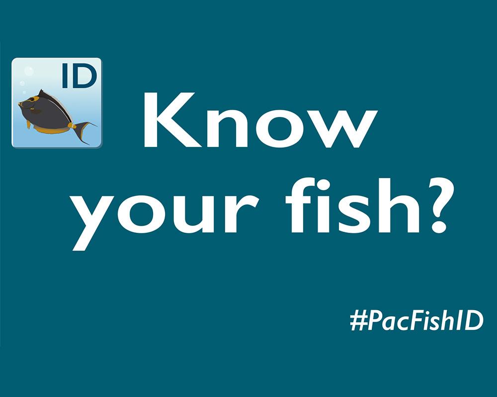 PacFishID, a new app for learning how to identify common coastal fish in the Pacific