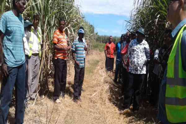 Sugarcane farmer urges farmers to “keep on learning”