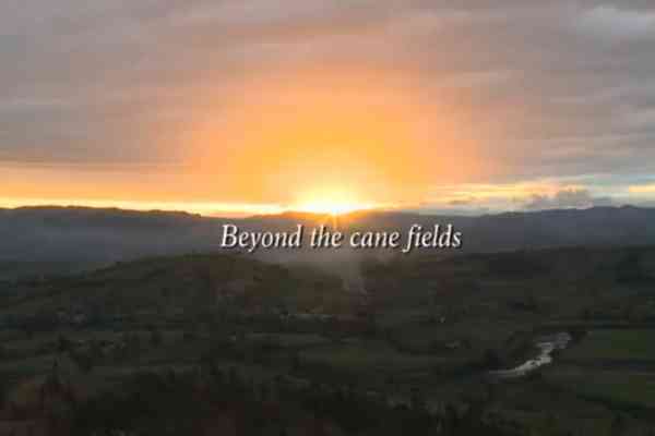 Beyond the cane fields