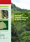 Forests, Climate Change & REDD-Plus