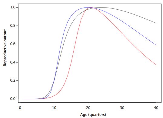Figure 5. Bigeye tuna maturity-at-age. The red curve is that used in the 2014 stock assessment. The blue curve is based on new maturity-atlength information from the reproductive biology project and converted to maturity-at-age using the growth assumptions used in the 2014 assessment. The black curve is based on the new maturity-at-length information and converted to maturity-at-age using the new growth curve based on otolith data.