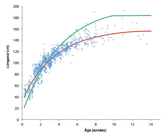 Figure 3. Croissance estimée du thon obèse. La courbe verte représente la courbe de croissance utilisée dans l’évaluation de 2014 ; les cercles bleus indiquent la longueur et l’âge estimés à partir des échantillons d’otolithes ; la courbe rouge est une courbe de croissance de von Bertalanffy ajustée aux données otolithométriques.