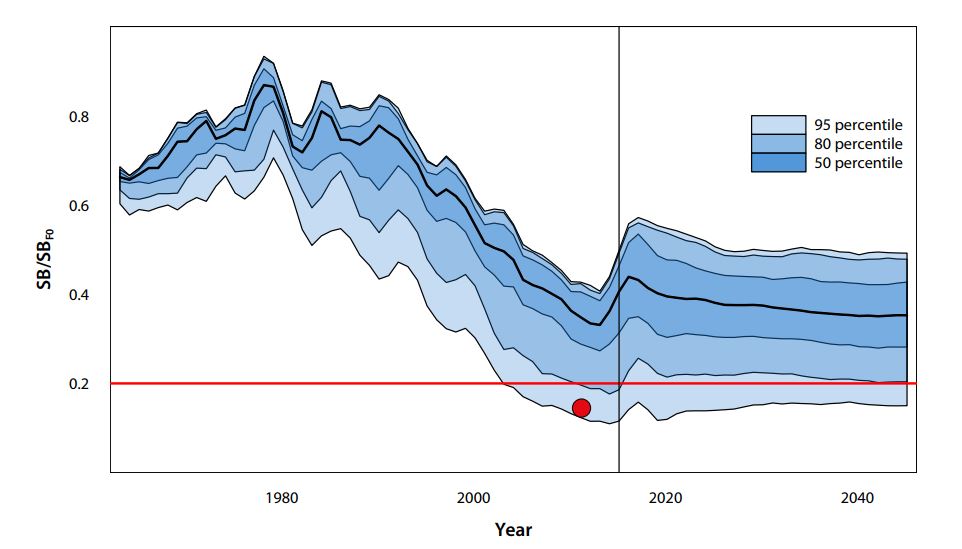 Figure 2. Estimates of historical (to the left of the vertical black line) and projected future bigeye tuna spawning biomass depletion (SB/SBF0) assuming the continuation of recent levels of fishing.2 The different shading of the trajectory represents the uncertainty in the estimates across 72 model runs that were weighted according to SC13 advice. The horizontal red line represents the limit reference point of 20% of the recent unfished spawning biomass. The solid red circle indicates the estimate of spawning biomass depletion in 2012 from the 2014 bigeye tuna assessment. 2 SB/SBF0: The ratio of spawning