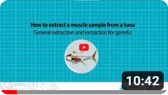 04 - Extract a muscle sample from a tuna