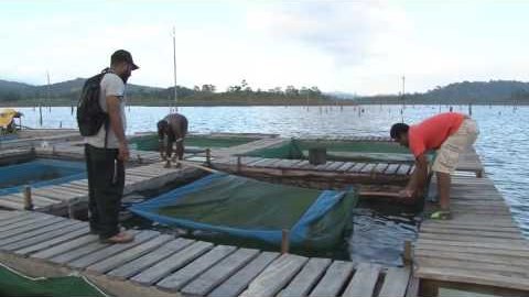 Aquaculture Production Technician - Jone Varawa