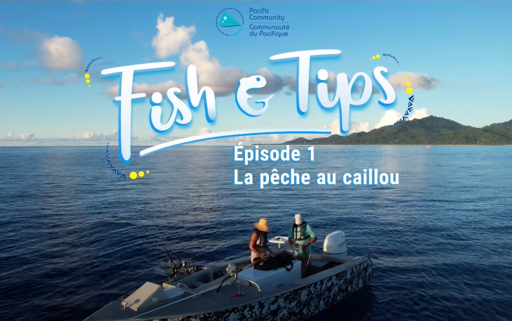 La pêche au caillou | Fish & Tips - S2 Ep1 (Français)