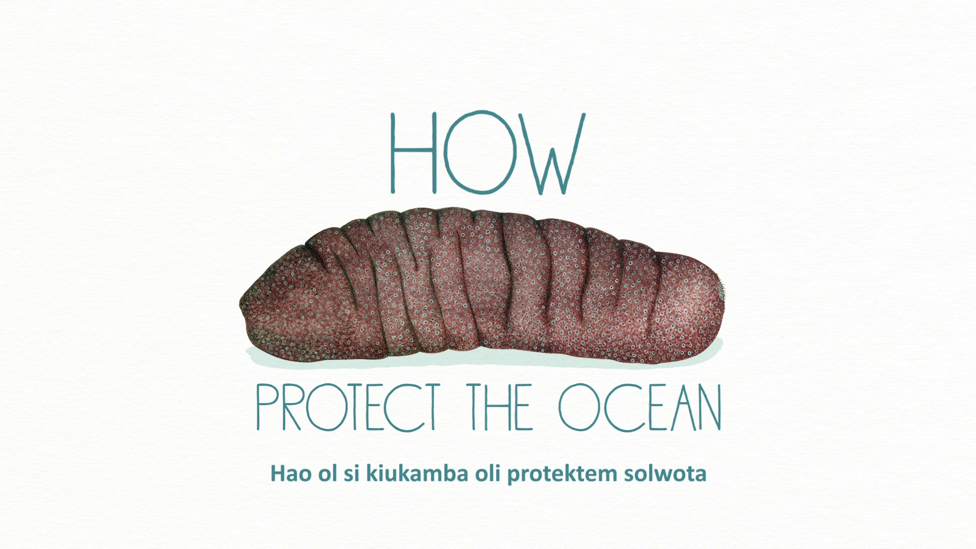 The Fisher's Tales 02 (Bislama): Do you know how sea cucumbers protect the ocean?