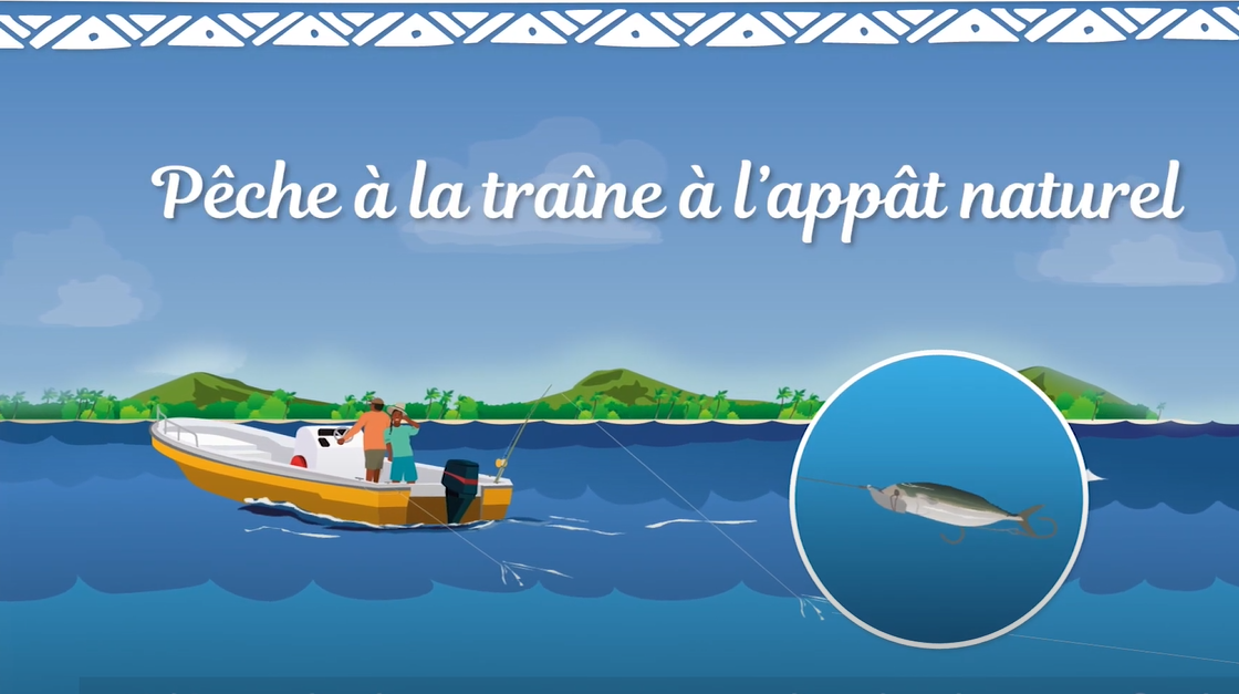 Pêche à la traîne à l’appât naturel - Fish and Tips S1 Ep4 (Français)