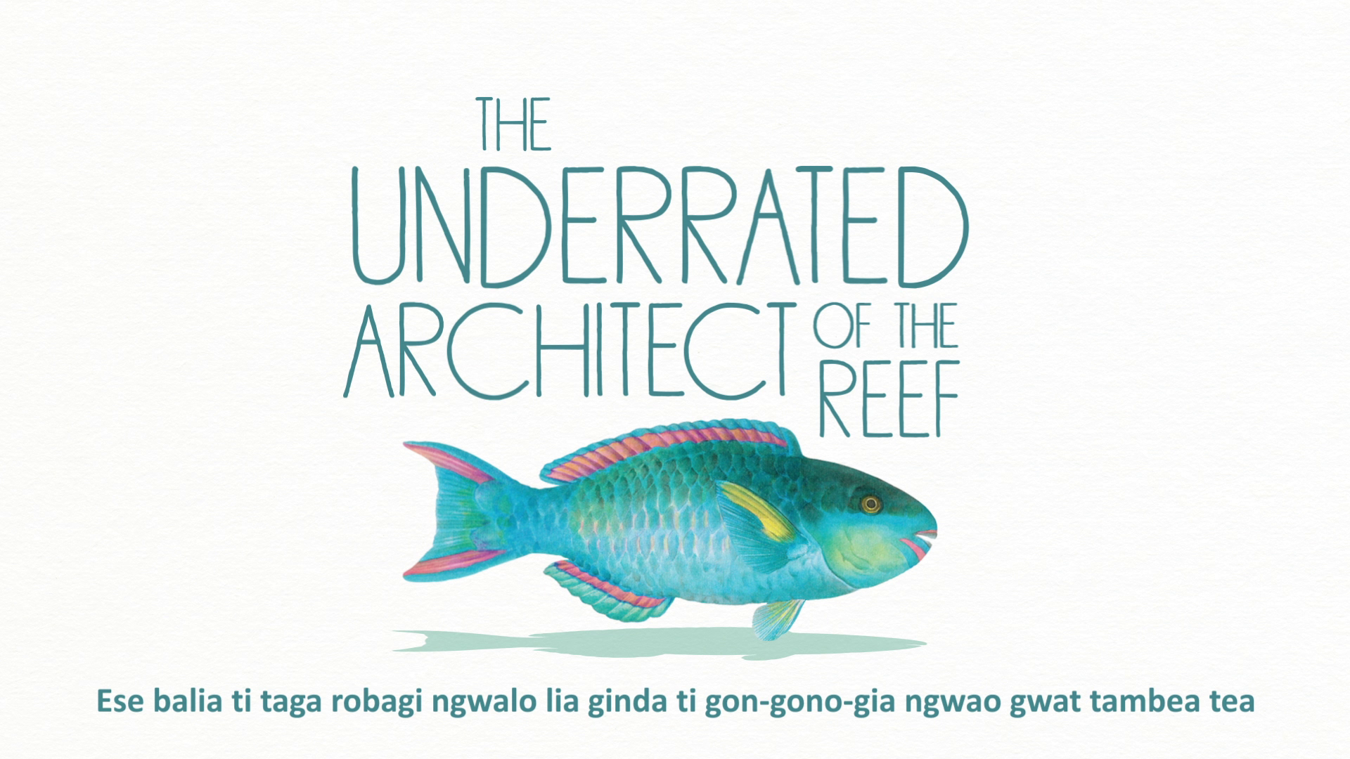 The Fisher's Tales 01 (Maewo): Do you know that parrotfish act like architect of the reef?