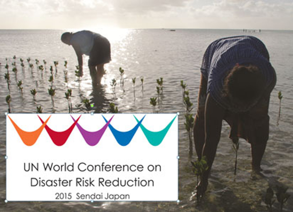 Sendai-un-world-conference-disaster-risk-reduction_0.jpg