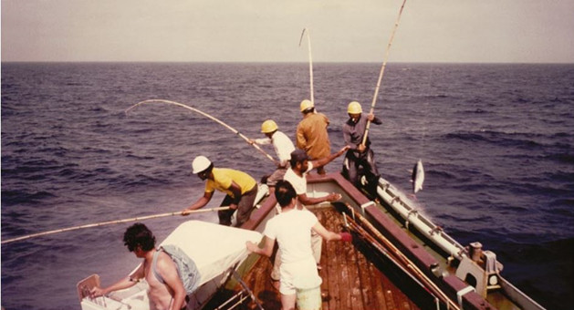 Action during the inaugural SSAP Tagging Cruise in late 1997 (Image: Rob Gillett)