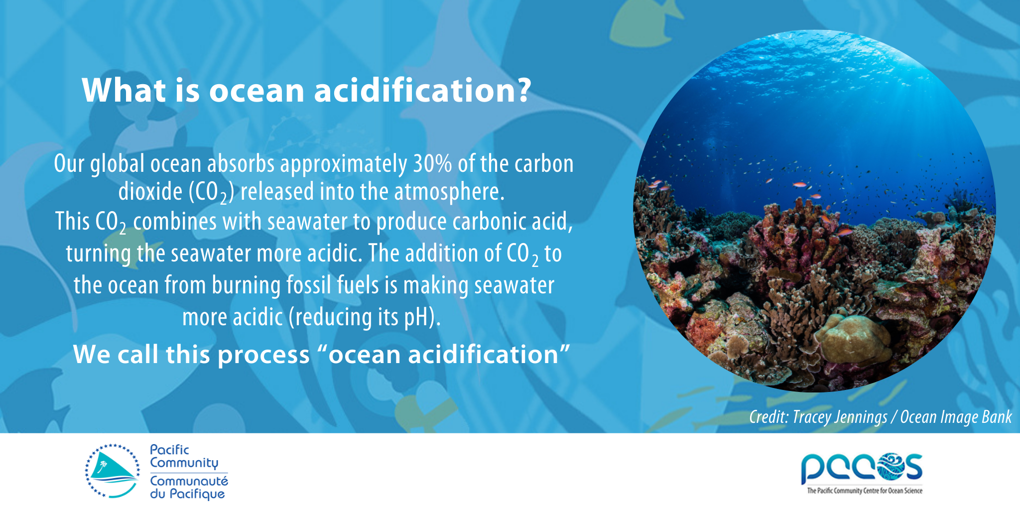 What is ocean acidification?