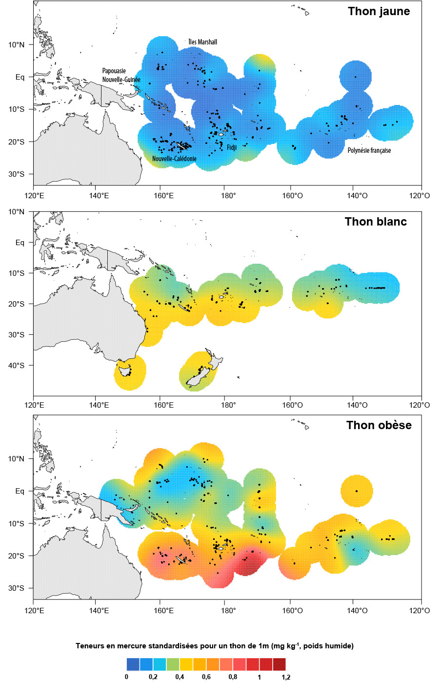 Figure 3. Distribution géographique des teneurs en mercure dans les thons jaune, blanc et obèse du Pacifique ouest et central pour des thons d’une taille standard de 1m.