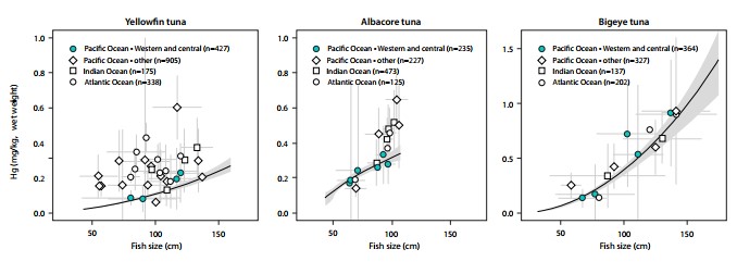 Figure 4. Evolution de la teneur en mercure en fonction de la taille du poisson pour les thons jaune, blanc et obèse dans les trois océans. 