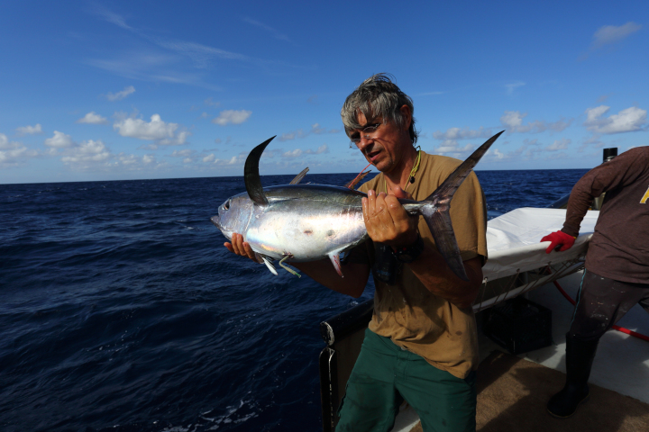Le marin: Pacific tuna study continues