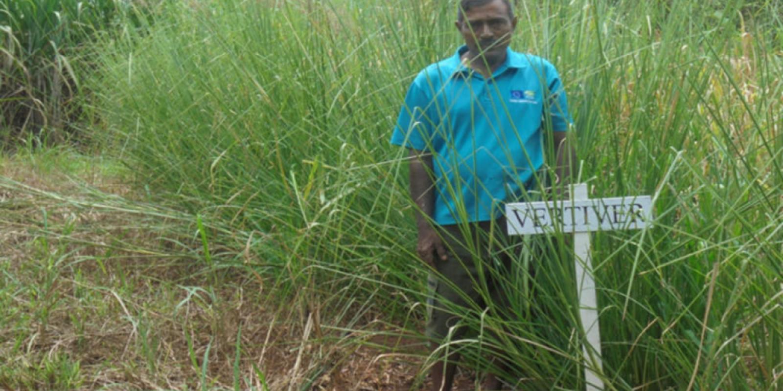 Gaya Prasad showing the Vetiver hedge he planted on the river bank