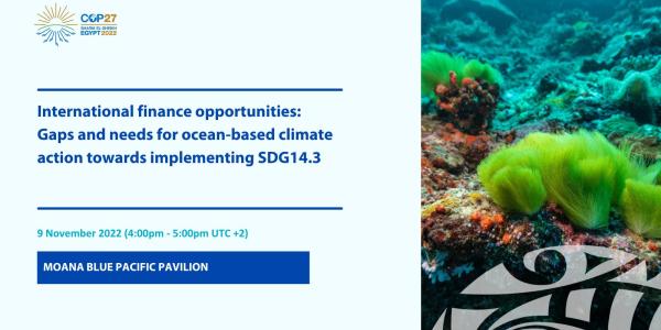 Gaps and needs for ocean-based climate action towards implementing SDG14.3
