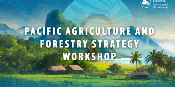 Pacific Agriculture and Forestry Strategy workshop