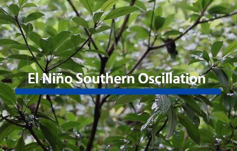 Ocean Science Fact: EL Nino and La Nina