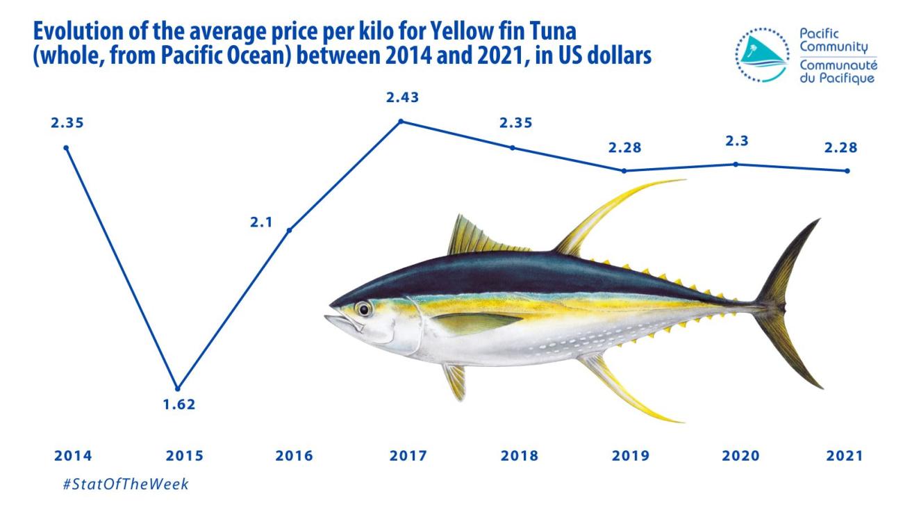 Stat of the week: Evolution of the average price per kilo for Yellow fin Tuna