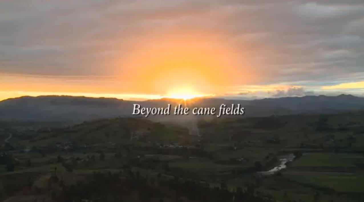 Beyond the cane fields
