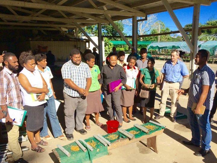 Agricultural Officers and Farmers Undergo Seed Production Training