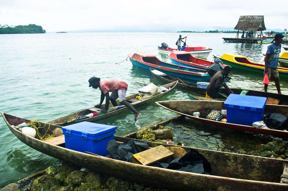 La pêche côtière de nouveau au cœur des débats en Océanie