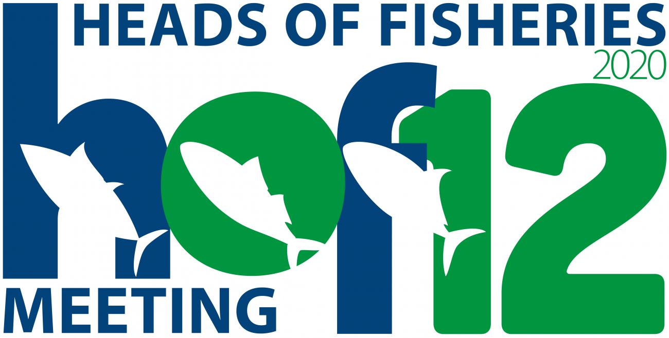 [VIRTUAL] 12th Head of Fisheries meeting 