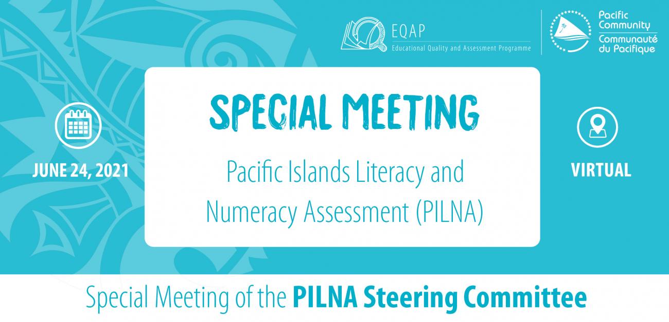 Special Meeting of the PILNA Steering Committee