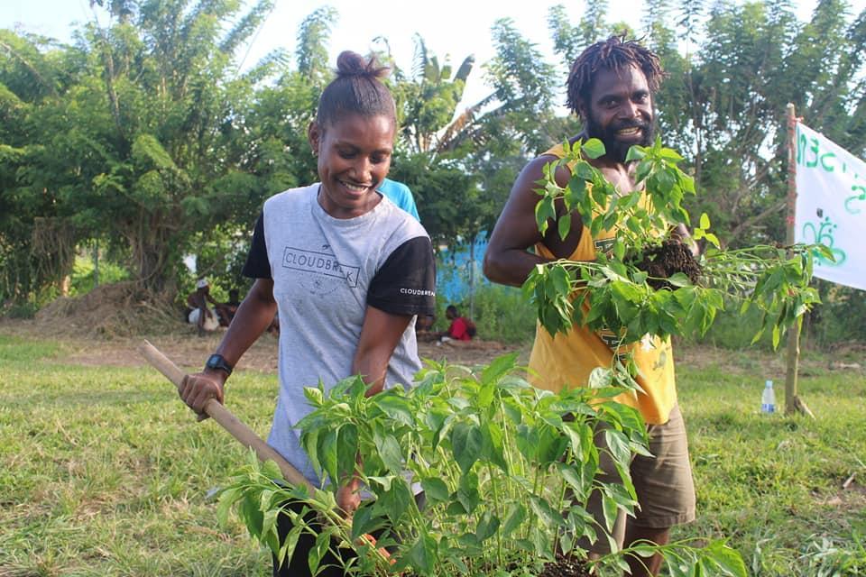 Tagabe Agricultural Vanuatu
