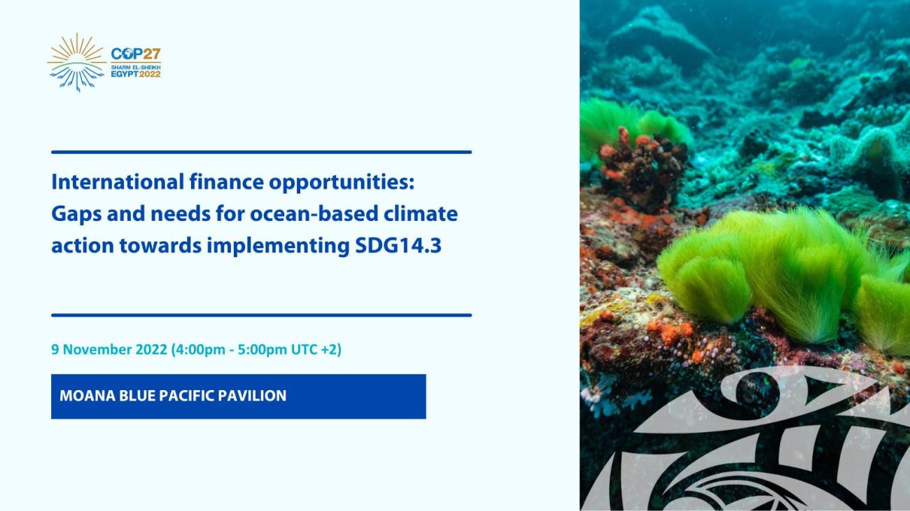 Gaps and needs for ocean-based climate action towards implementing SDG14.3