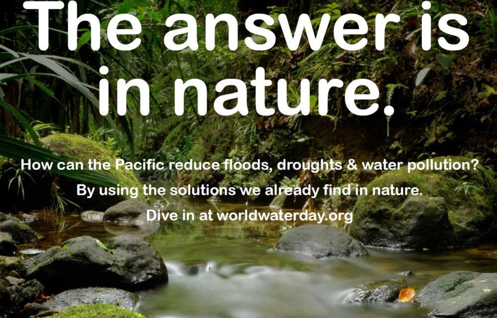 The answer is in nature. How can the Pacific reduce floods, droughts & water pollution? By using the solutions we already find in nature. Dive in at worldwaterday.org