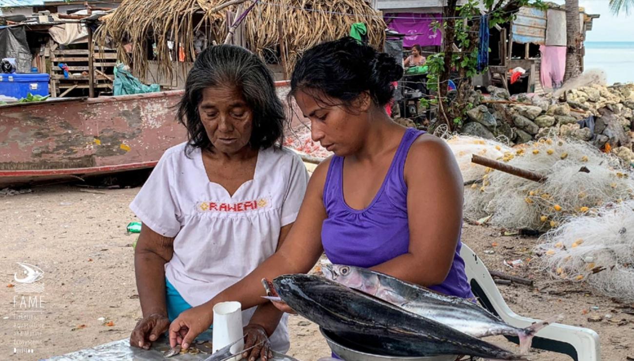 Selling fish by the roadside, Tarawa, Kiribati. (image: Johann Bell)