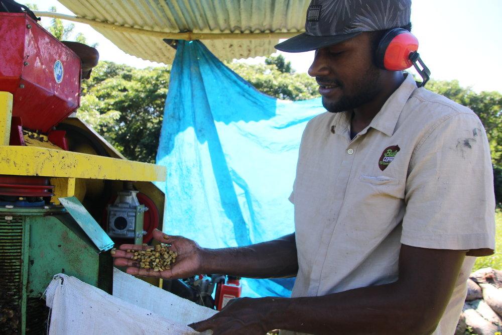 L’UE épaule l’expansion de Bula Coffee à Vanua Levu