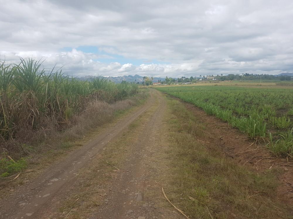 Cane Access Road upgrade to benefit 366 sugarcane farmers in Koronubu, Ba