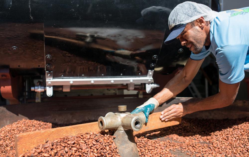 Fiji cocoa farms receive recovery assistance