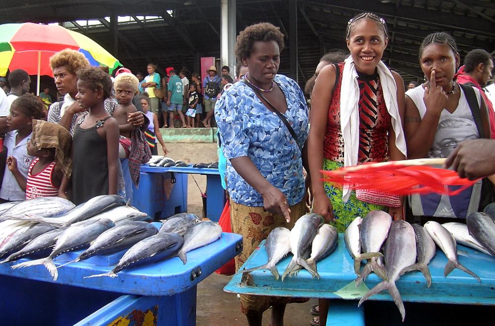 Les directeurs des pêches océaniens se réunissent en Nouvelle-Calédonie