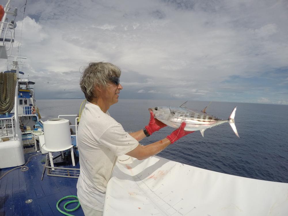 Marquage des thons : Fin de la dernière campagne du Programme pêche hauturière de la Communauté du Pacifique (CPS)