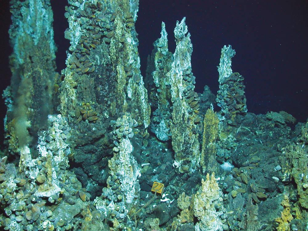 Zoom - Mineral treasures in Cook Islands seas