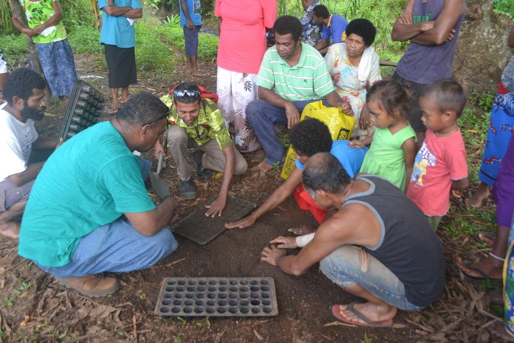Zoom – Plantations ciblées aux Fidji
