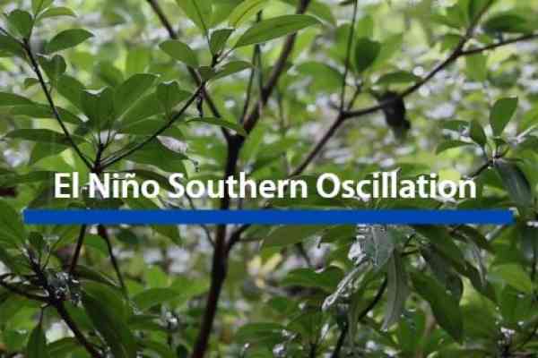 Ocean Science Fact: EL Nino and La Nina