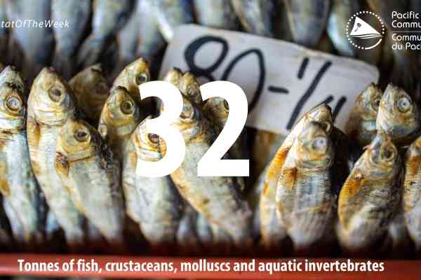 STAT OF THE WEEK 32 TONNES OF FISH 