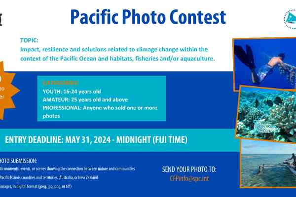 Photo contest Card