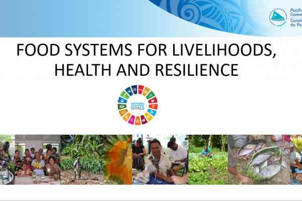 Food Systems Summit - Pacific Regional Dialogue