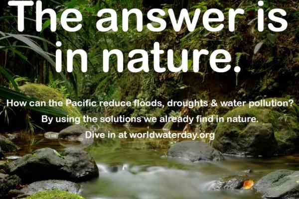 The answer is in nature. How can the Pacific reduce floods, droughts & water pollution? By using the solutions we already find in nature. Dive in at worldwaterday.org
