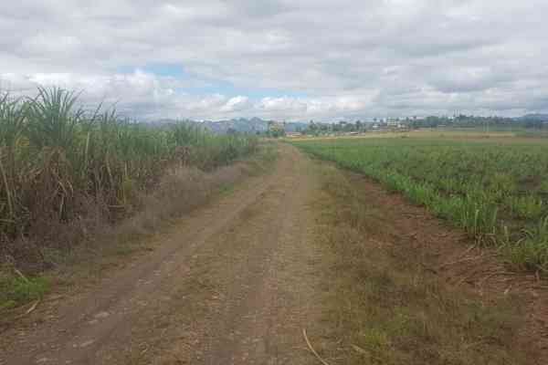 Cane Access Road upgrade to benefit 366 sugarcane farmers in Koronubu, Ba