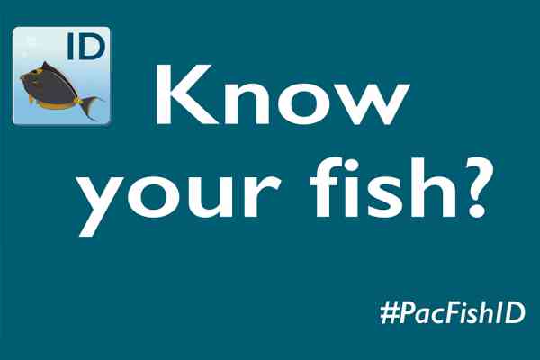 PacFishID, a new app for learning how to identify common coastal fish in the Pacific