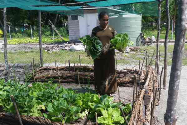 Zoom - Growing fresh food for the family in Tuvalu