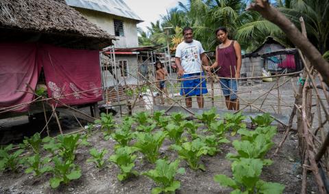 Soil Science Imporves Pacific Diets - A return to growing and eating more traditional foods could help save lives in the Pacific region, new ACIAR-funded research