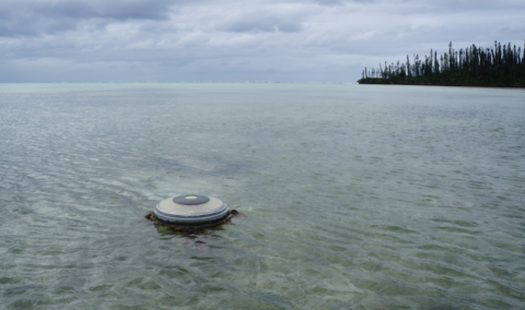 Photos of stranded FADs and/or buoys